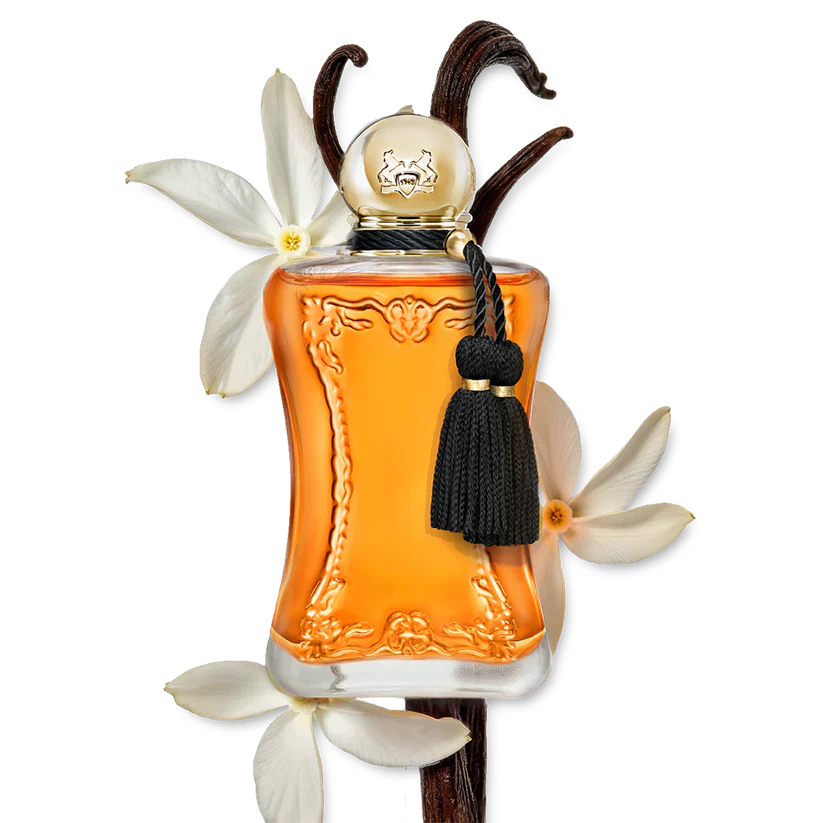 De Marly SAFANAD - Image 3