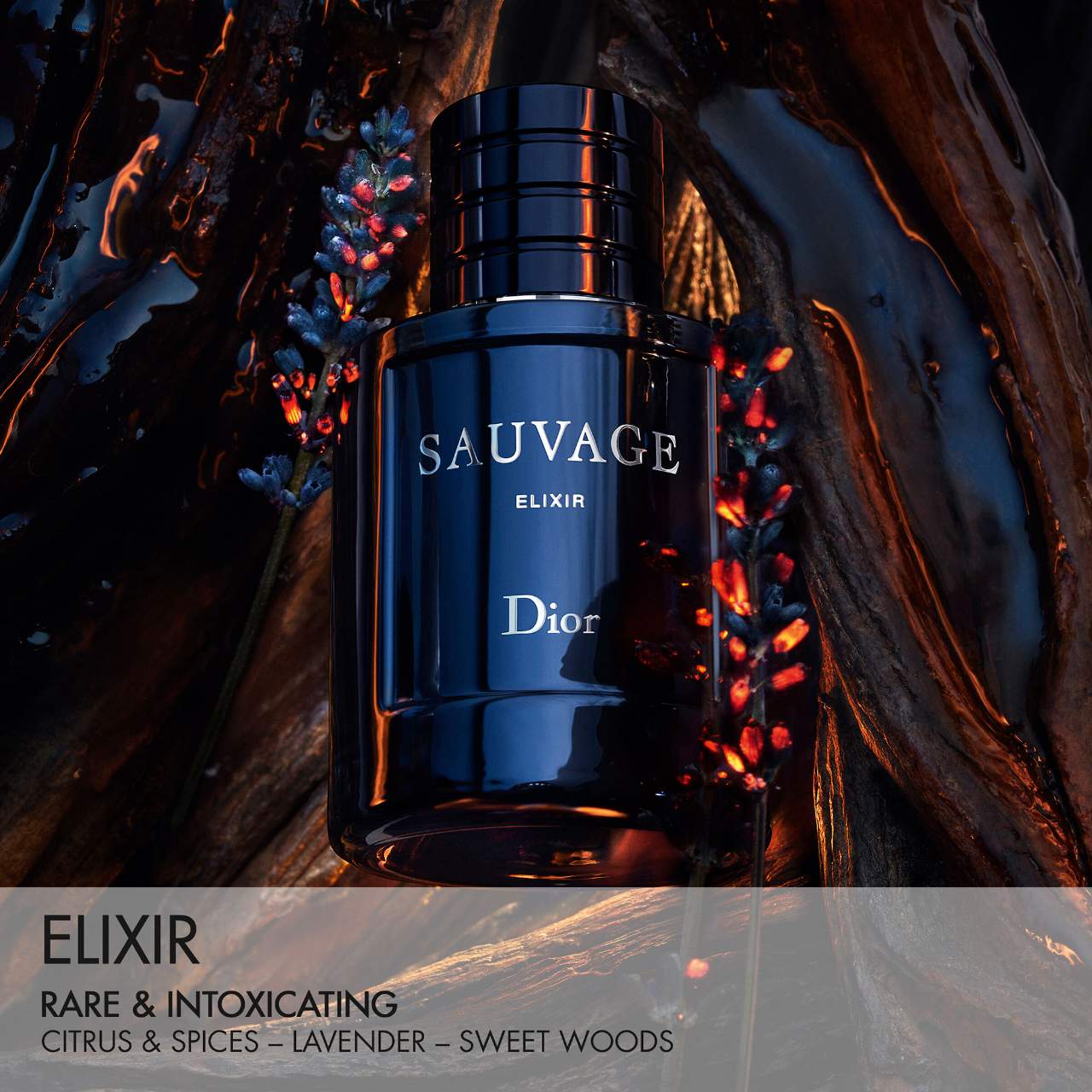 Dior Sauvage Elixir - Image 2